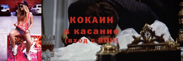 ПСИЛОЦИБИНОВЫЕ ГРИБЫ Абаза