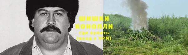 ПСИЛОЦИБИНОВЫЕ ГРИБЫ Абаза