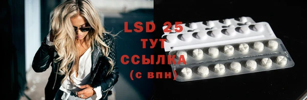 ПСИЛОЦИБИНОВЫЕ ГРИБЫ Абаза