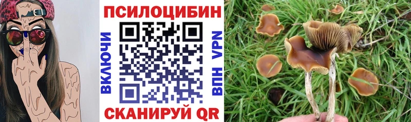 хочу наркоту  гидра ТОР  Галлюциногенные грибы GOLDEN TEACHER  Рыльск 